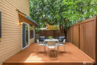 View from patio to the south