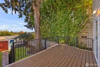 This newer deck is an entertainer's dream.