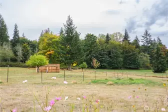 Horse Stable on property