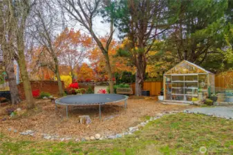 Stunning fall foliage shows the beauty of this backyard oasis!
