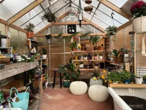 Inside view of the 10x 12 solar powered greenhouse.