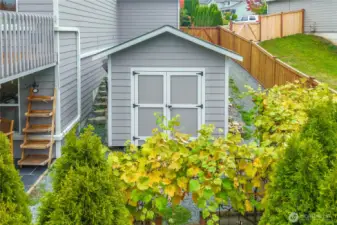 10x12 shed with loft and shelving.