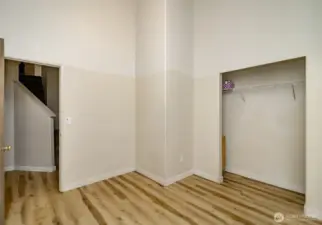 Downstairs bedroom 2 with closet
