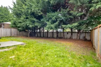 Back yard fully fenced with Privacy Trees