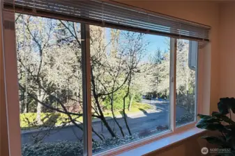 View of the Road inside of Community Between Buildings
