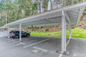 Reserved Parking Space C-16
