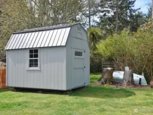 Newer large Shed in the front yard.