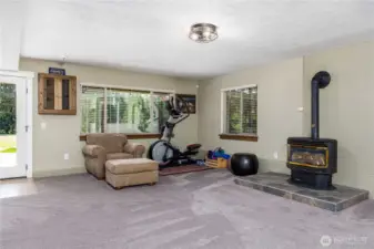 Daylight Basement