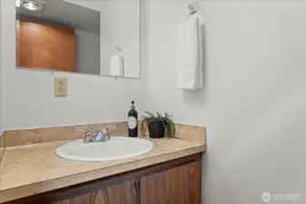Primary bath sink.