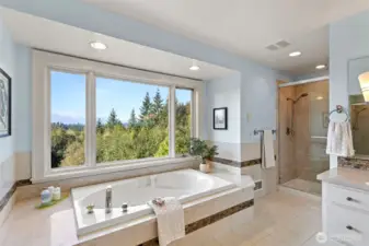 Jetted tub with a view.