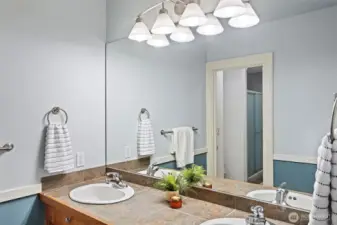 Lower level 3/4 bath with walk-in shower