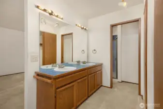 Primary suite bathroom. Needs some TLC.