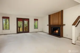 Large recreational room with fireplace and access to yard. Lower level.