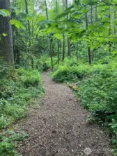 Walking trails throughout the 10 acres