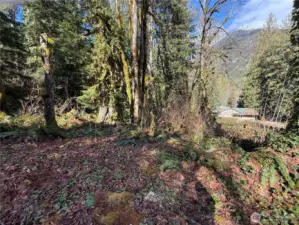 Beautiful Mountain View from Property