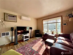 Main level living room.