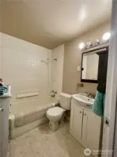 Lower level bathroom