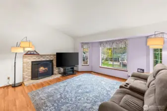 New fireplace insert in 2025