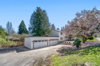 4 cars garage and multi parking spaces