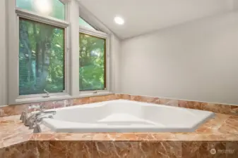Huge soaking tub in the Primary En-suite.
