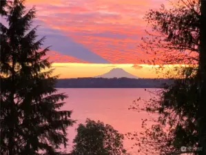 Budd Bay is home to sail boat races, watching cargo ships and plenty of wildlife including Orcas and many bald eagles!