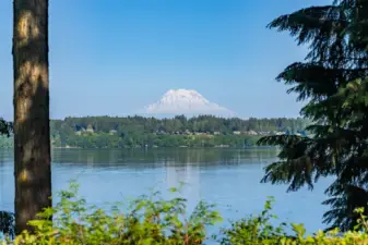 Budd Bay is home to sail boat races, watching cargo ships and plenty of wildlife including Orcas and manhy bald eagles!