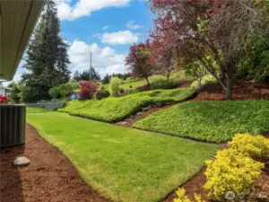Terraced backyard provides a beautiful view from the kitchen.