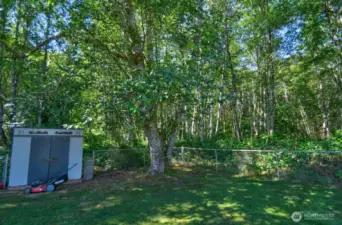 Storage shed for yard tools