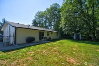 View of backyard
