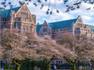 University of Washington - 8 min walk