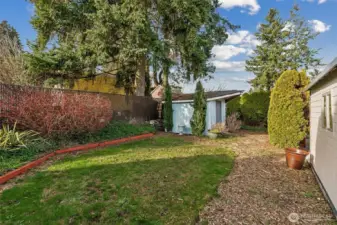 Private back yard and garden shed.