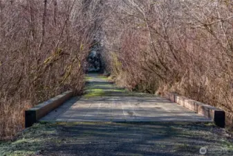 sitting on over 10 acres, you'll feel like you're living in a park