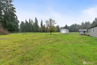 Expansive, open backyard with lush green grass, mature evergreen tree line, a detached garage/shop, and a smaller outbuilding — plenty of room to spread out.