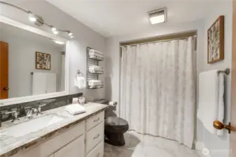 Lower level full bath.