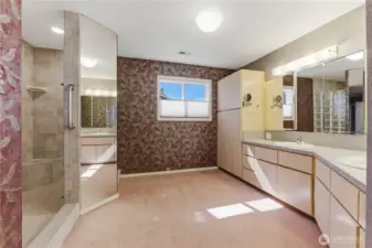 Large bathroom with walk-in shower and lots of storage.