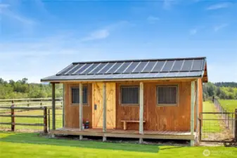Bonus outbuilding could be so many things...playhouse, studio, or pen for animals