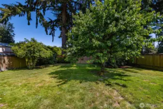 Here's the land / lot that you've been looking for.  Maybe that extra space for a studio or ???