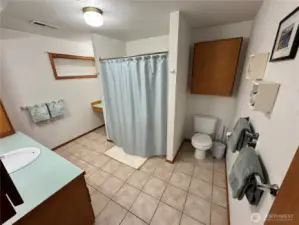 Basement Bathroom