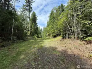 Road way to 230 E. Douglas Fir Lane