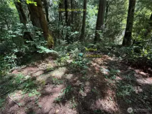 Well Head on 230 E. Douglas Fir Lane