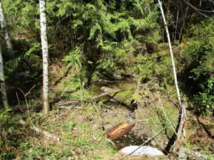 Stream