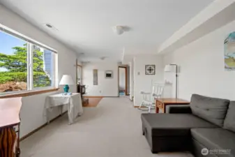 Lower level living room.