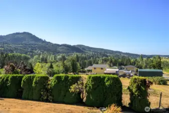 The view from the lower living room.