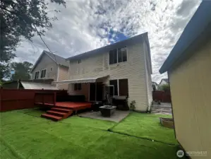 Back yard