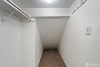 Deep downstairs utility closet