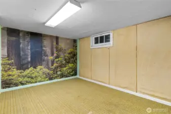 Extra bonus room does not have egress window