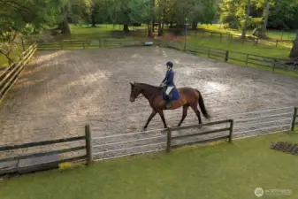 LED Lighted arena. Rider virtually staged.