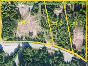 Three parcels for sale. This one is the right hand side.  Photo facing W