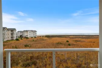 View from Deck