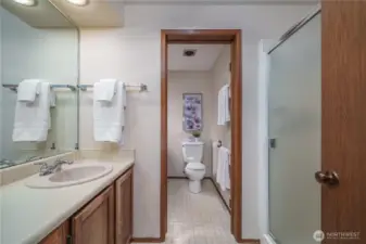 The ensuite bathroom includes a single vanity and shower, along with a separate vanity and commode.